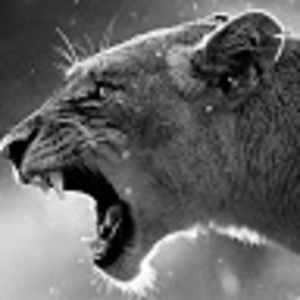 Meet your Posher, Gabriel